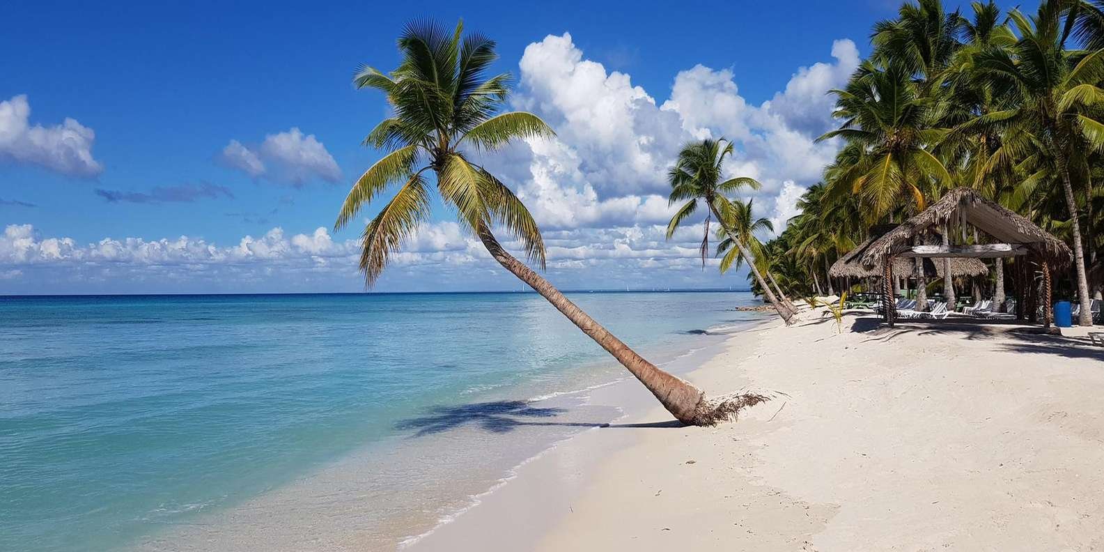 All-Inclusive Saona Island Day Trip from Punta Cana - Image 4