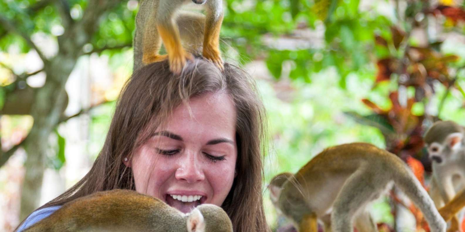 Samaná: Monkeyland and Open-Air Safari Truck Tour - Image 4