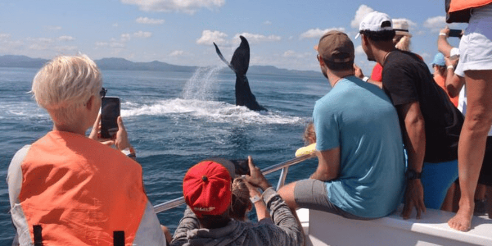 Samana: City Tour + Whale Watching + Cayo Levantado - Image 7