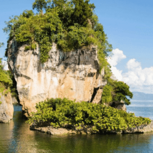 From Samana: Los Haitises Boat and Walking Tour with Lunch
