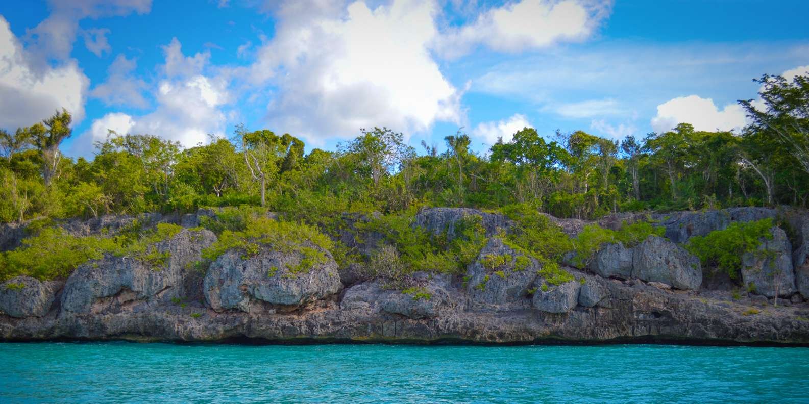 From Santo Domingo: Saona Island Day Trip w/ Lunch & Drinks - Image 33