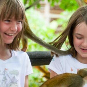 Transfers and taxis Monkey land in puerto plata