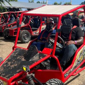 Buggy for 2