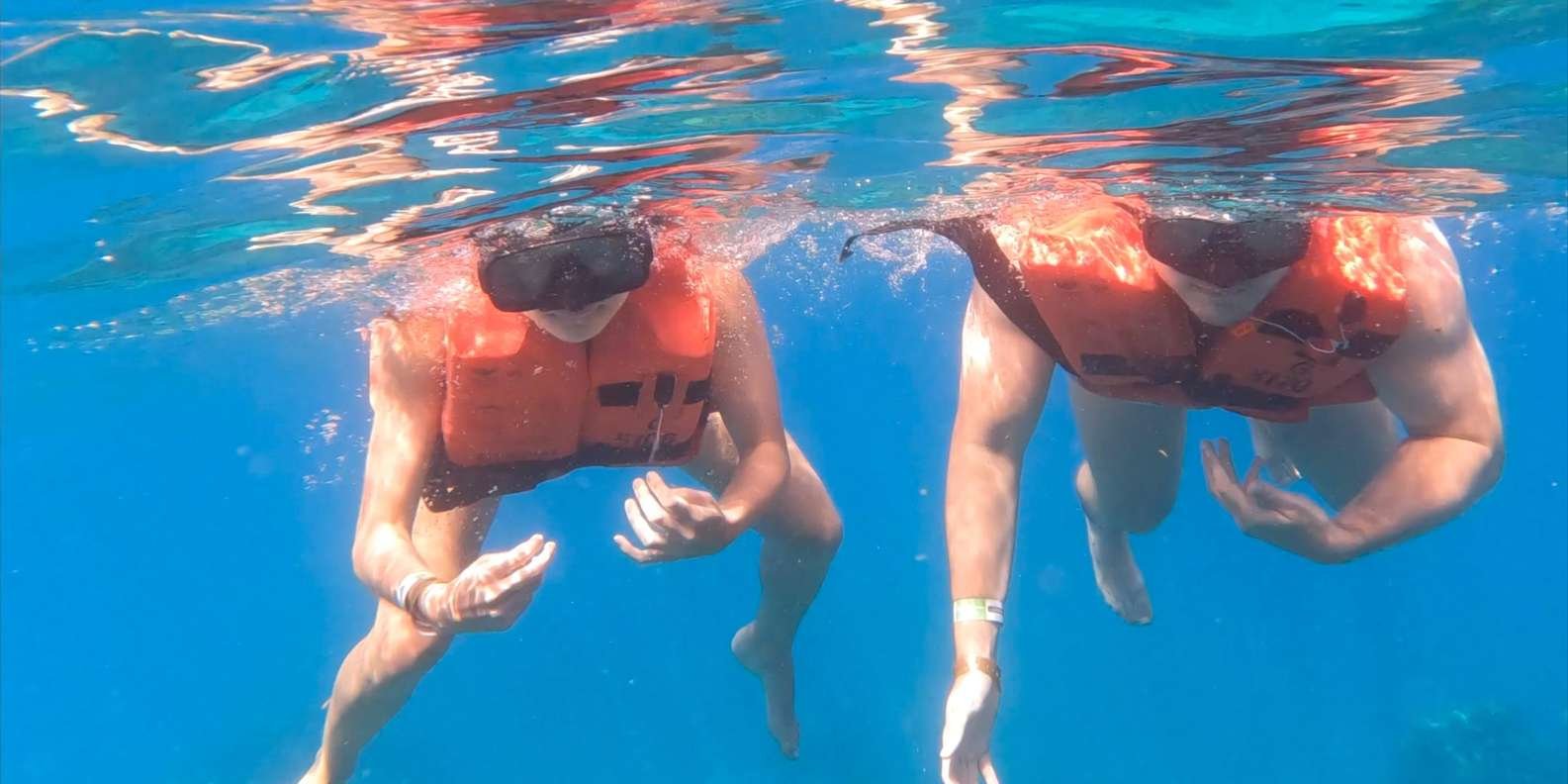 diving without a license catalina island from punta cana - Image 5