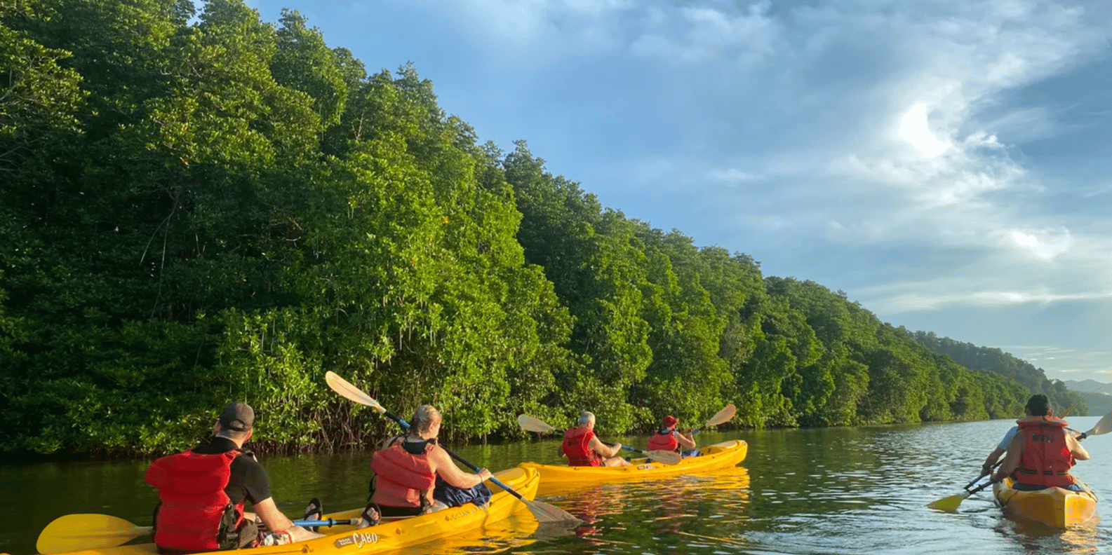 Boca Chica : Los Haitises Guided Hike and Kayaking - Image 9