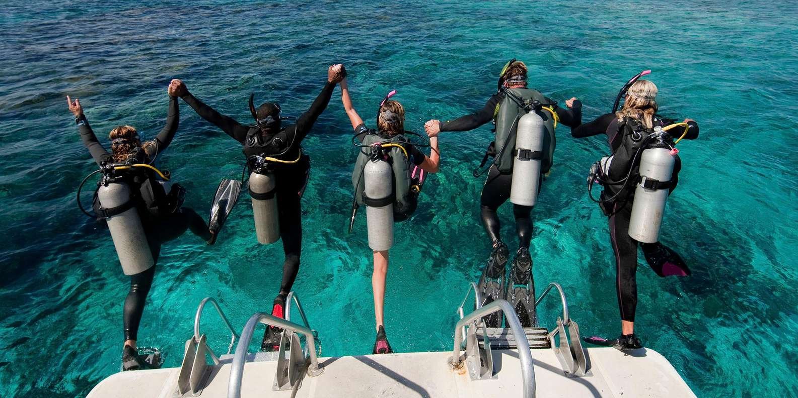 Punta Cana 40ft Recreational Diving Adventure - Image 4