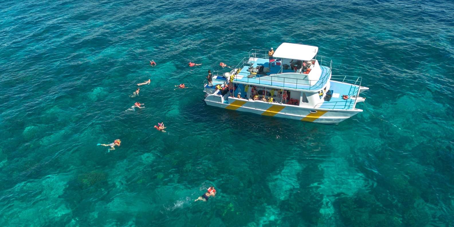 diving without a license catalina island from punta cana - Image 6