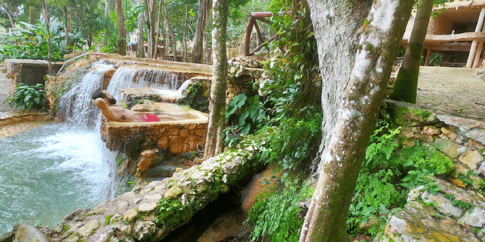 Cano Hondo Natural Pools & Los Haitises boat tour - Image 9