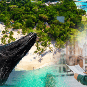 Whale Watching + Cayo Levantado