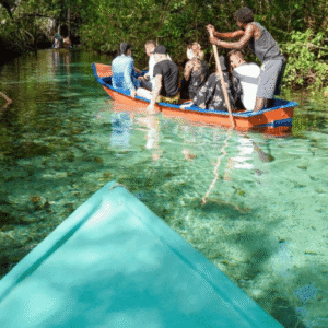 Samana: Full day Samana Amazing tour Punta Cana
