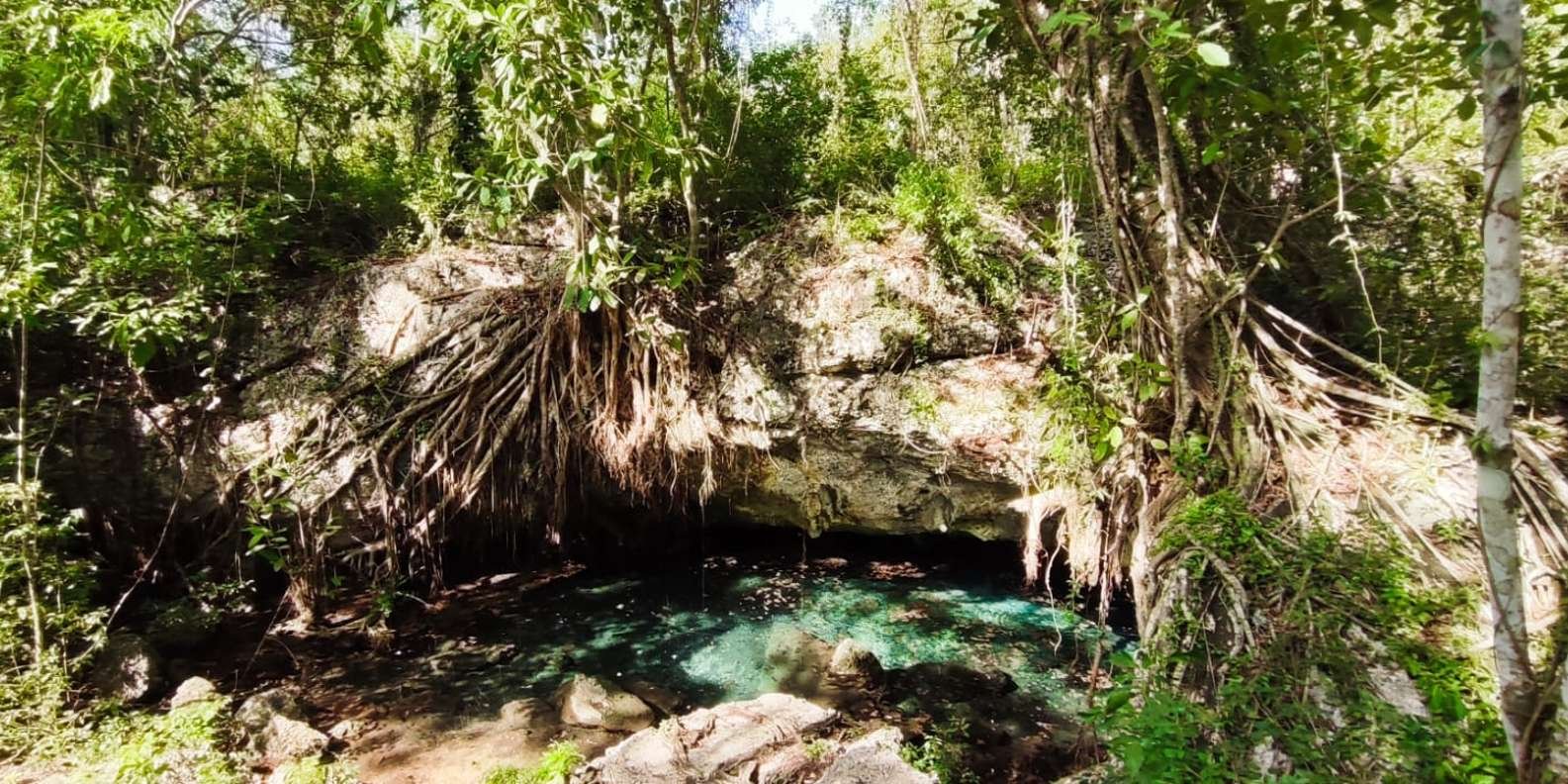 Bayahibe: National Park Jungle Walk & Snorkeling in Cenotes - Image 8