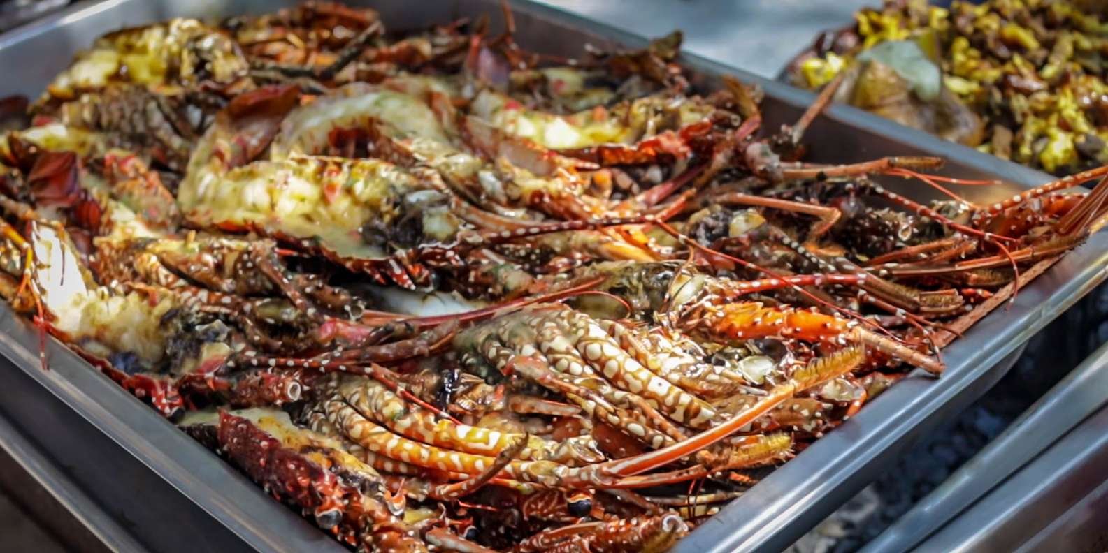 From Puerto Plata: Cayo Arena Private Catamaran Trip & Lunch - Image 8