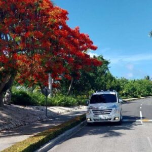 Private Transfer from Punta Cana Airport to Dreams Onyx