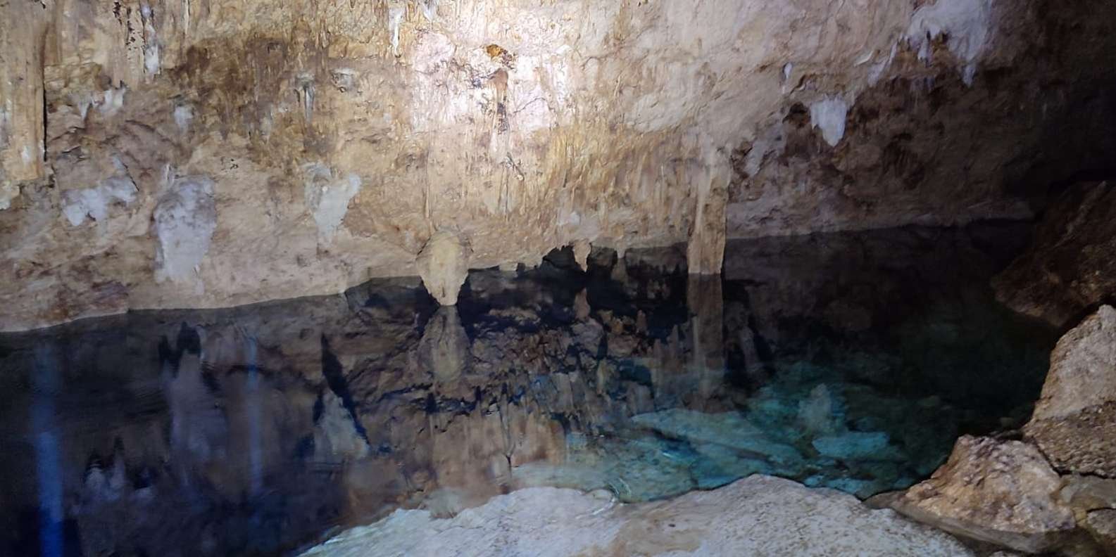 Bayahibe: National Park Jungle Walk & Snorkeling in Cenotes - Image 10