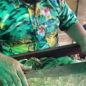 Dominican Culture Immersion: All Inclusive Day Trip