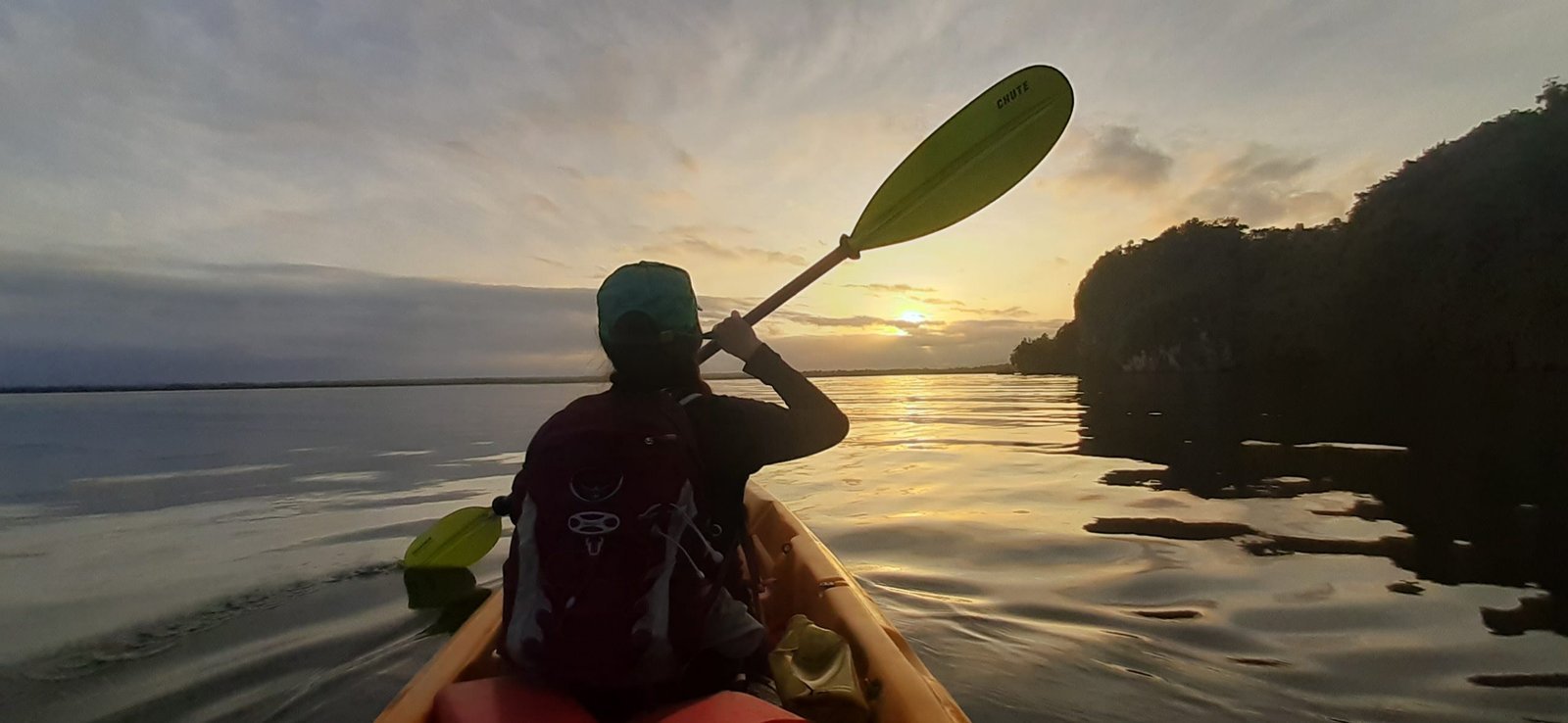 Caño Hondo : Los Haitises Sunrise or Sunset Private Kayak Excursion with Locals - Image 24