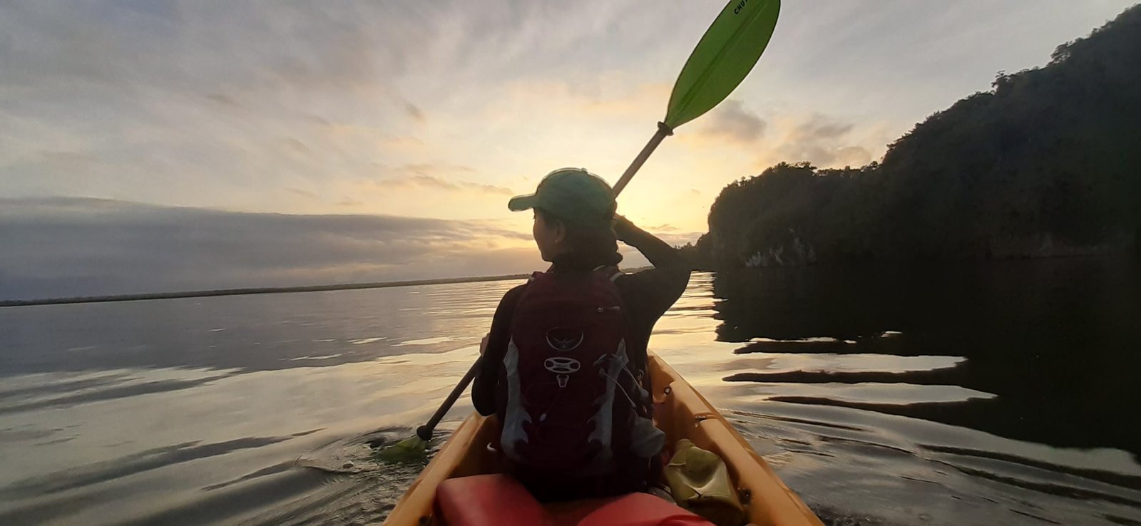 Caño Hondo : Los Haitises Sunrise or Sunset Private Kayak Excursion with Locals - Image 29