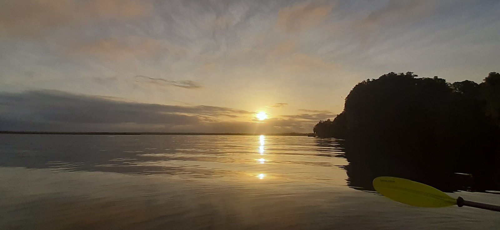 Caño Hondo : Los Haitises Sunrise or Sunset Private Kayak Excursion with Locals - Image 34