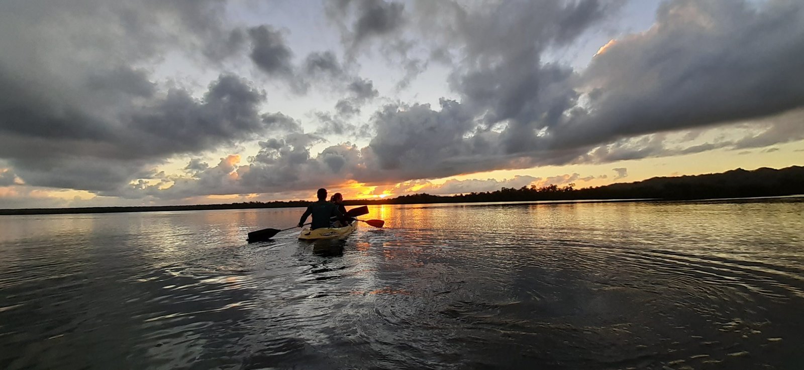 Caño Hondo : Los Haitises Sunrise or Sunset Private Kayak Excursion with Locals - Image 48