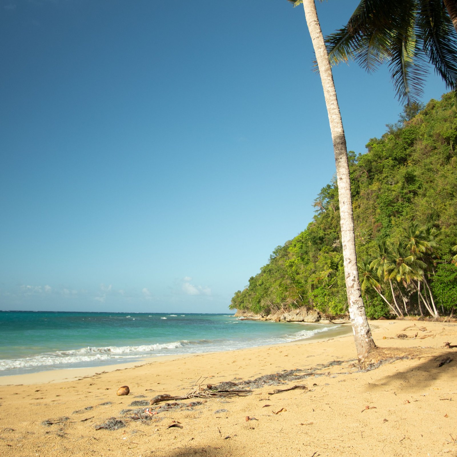 Complete Samaná Tour: Jackson Beach – Hiking, River Ride, and Snorkeling from La Majagua - Image 5