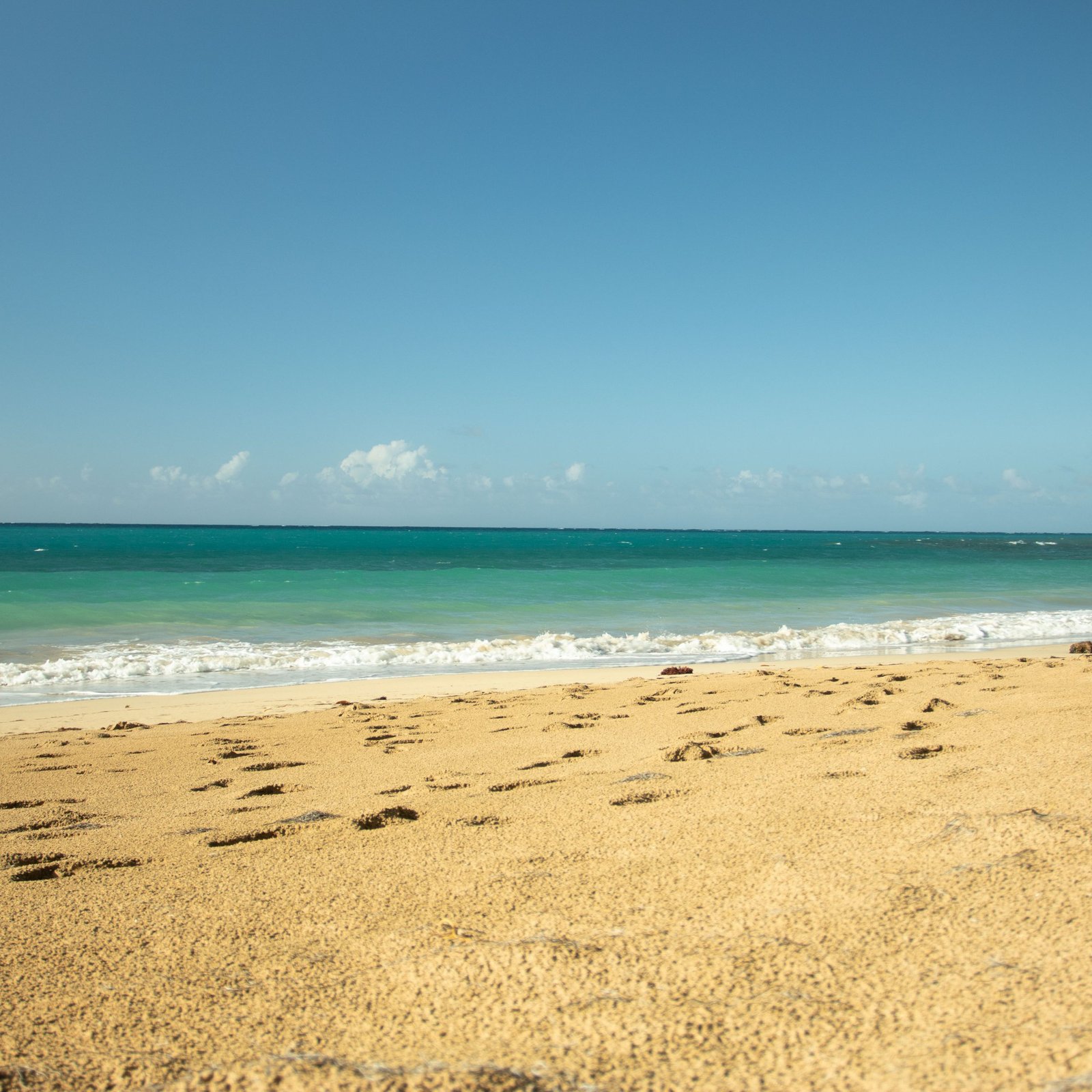 Complete Samaná Tour: Jackson Beach – Hiking, River Ride, and Snorkeling from La Majagua - Image 6