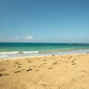 Complete Samaná Tour: Jackson Beach – Hiking, River Ride, and Snorkeling from La Majagua