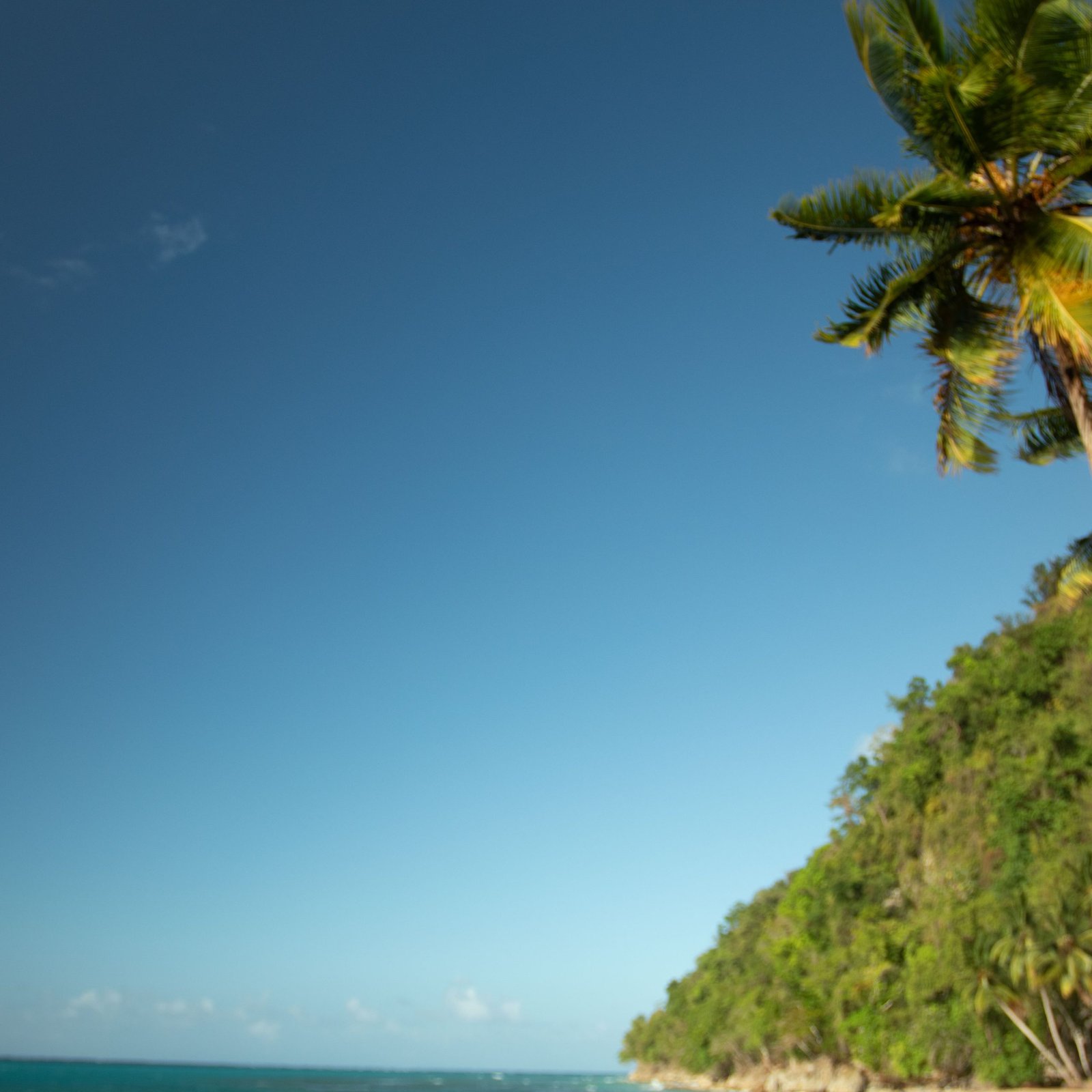 Complete Samaná Tour: Jackson Beach – Hiking, River Ride, and Snorkeling from La Majagua - Image 2